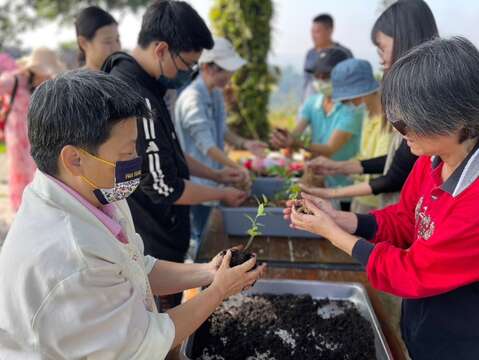 旅客参与小苗苔球制作