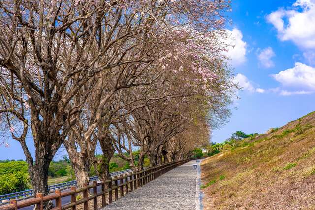 乌山头水库风景区