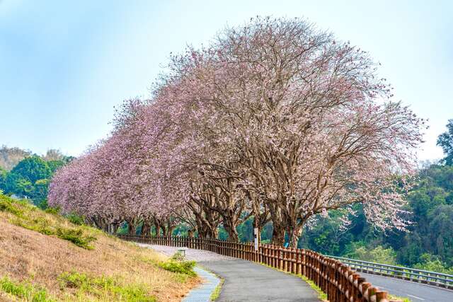 乌山头水库风景区