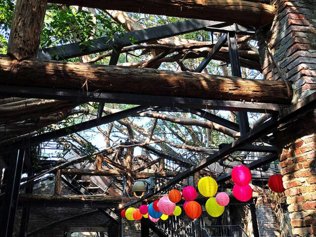 Anping Tree House(安平樹屋) 7(Photo By 鄭雯)