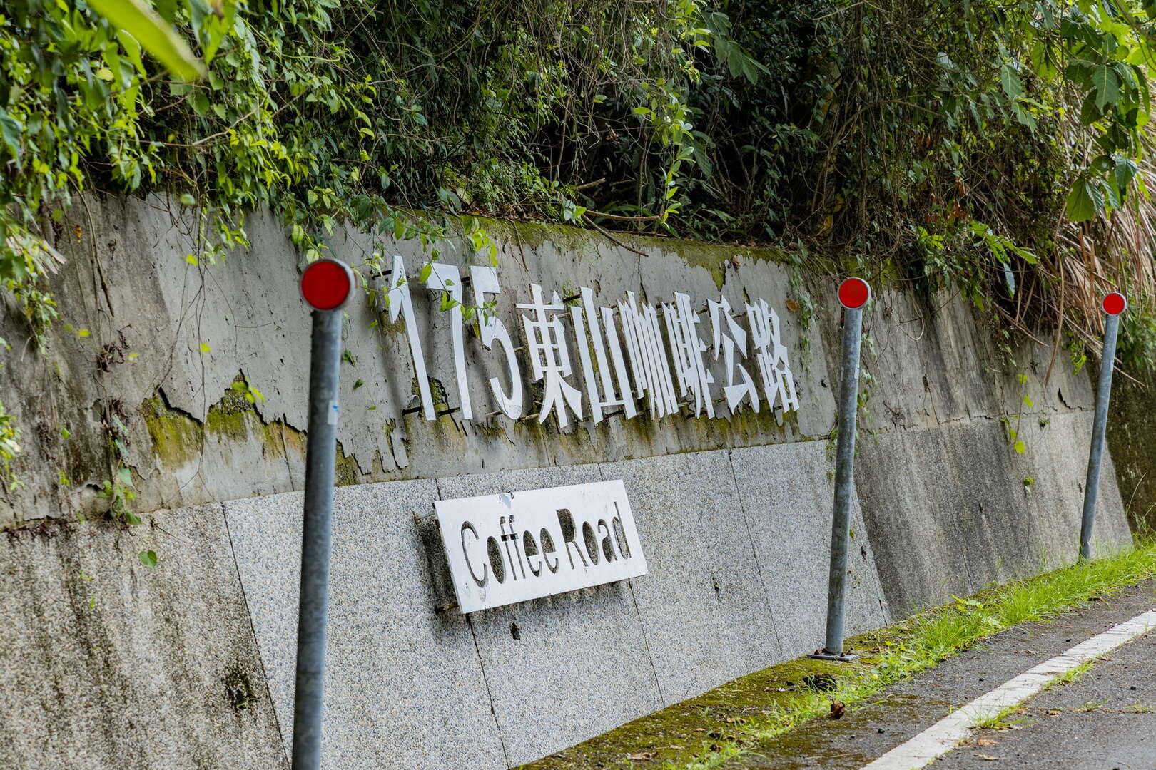 東山175咖啡大道－台南旅遊網