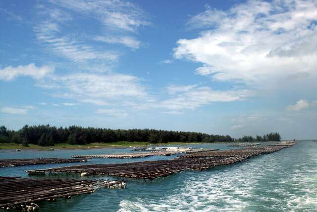 Qigu Lagoon(七股潟湖)