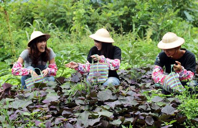 Fairy Lake Farm(仙湖農場)