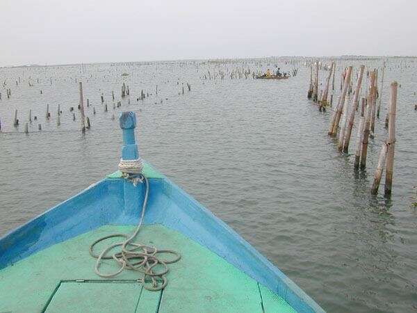 Beimen Lagoon(北門潟湖)