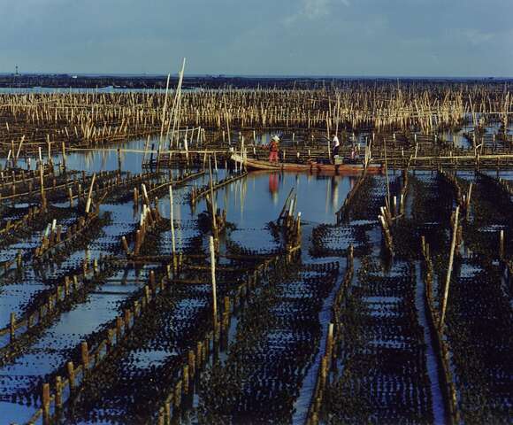 Luzhugou Fishing Harbor(蘆竹溝漁港)