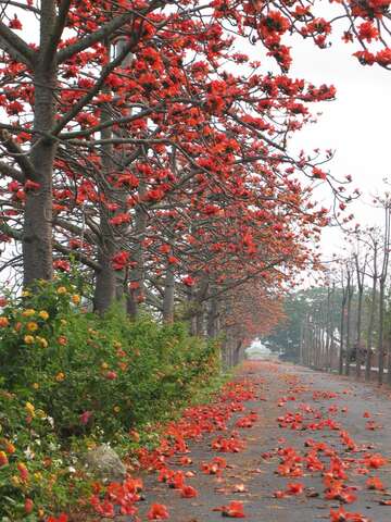 Taiwan Poetry Road(台灣詩路)