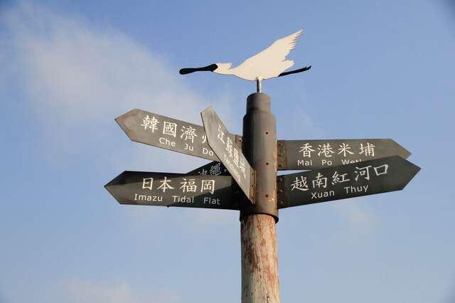 Black-faced Spoonbill Reserve(黑面琵鷺保護區)