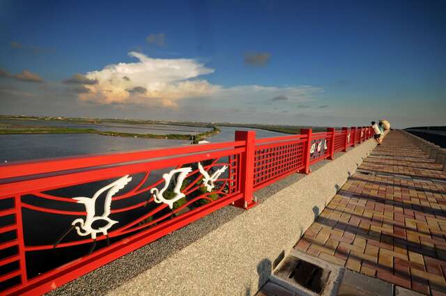 Black-faced Spoonbill Reserve(黑面琵鷺保護區)