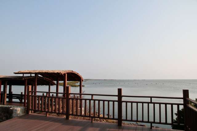 Black-faced Spoonbill Reserve(黑面琵鷺保護區)