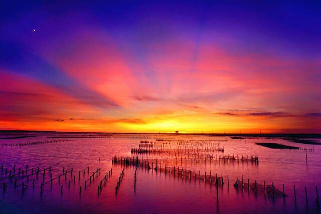 Qigu Lagoon(七股潟湖)