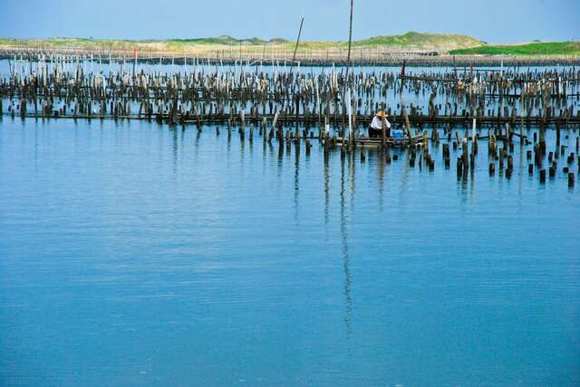 Luzhugou Fishing Harbor(蘆竹溝漁港)