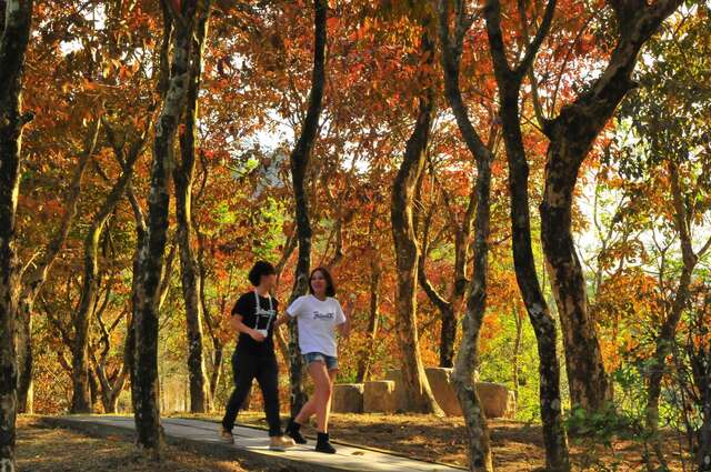 홍엽공원(紅葉公園)