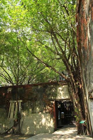 Anping Tree House(安平樹屋)