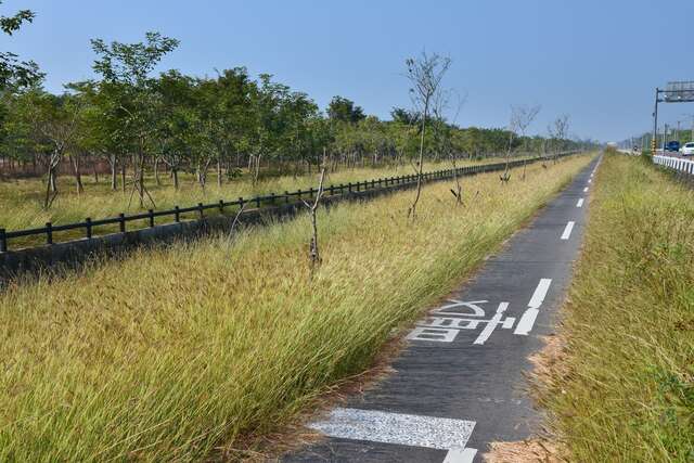 台糖烏樹林園区