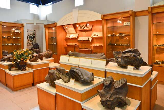 大地化石鉱石博物館