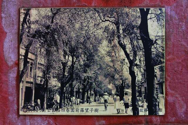 老照片:1961年公園路