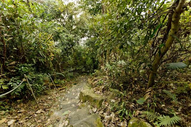 Wushan Hiking Trail System(烏山登山步道系統)