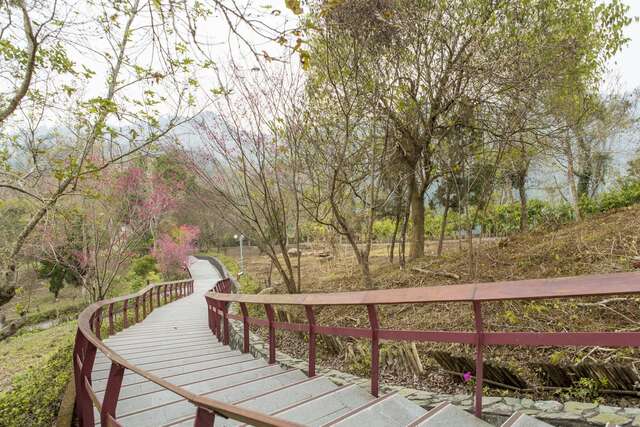 俯瞰关子岭登山步道一处的自然景观