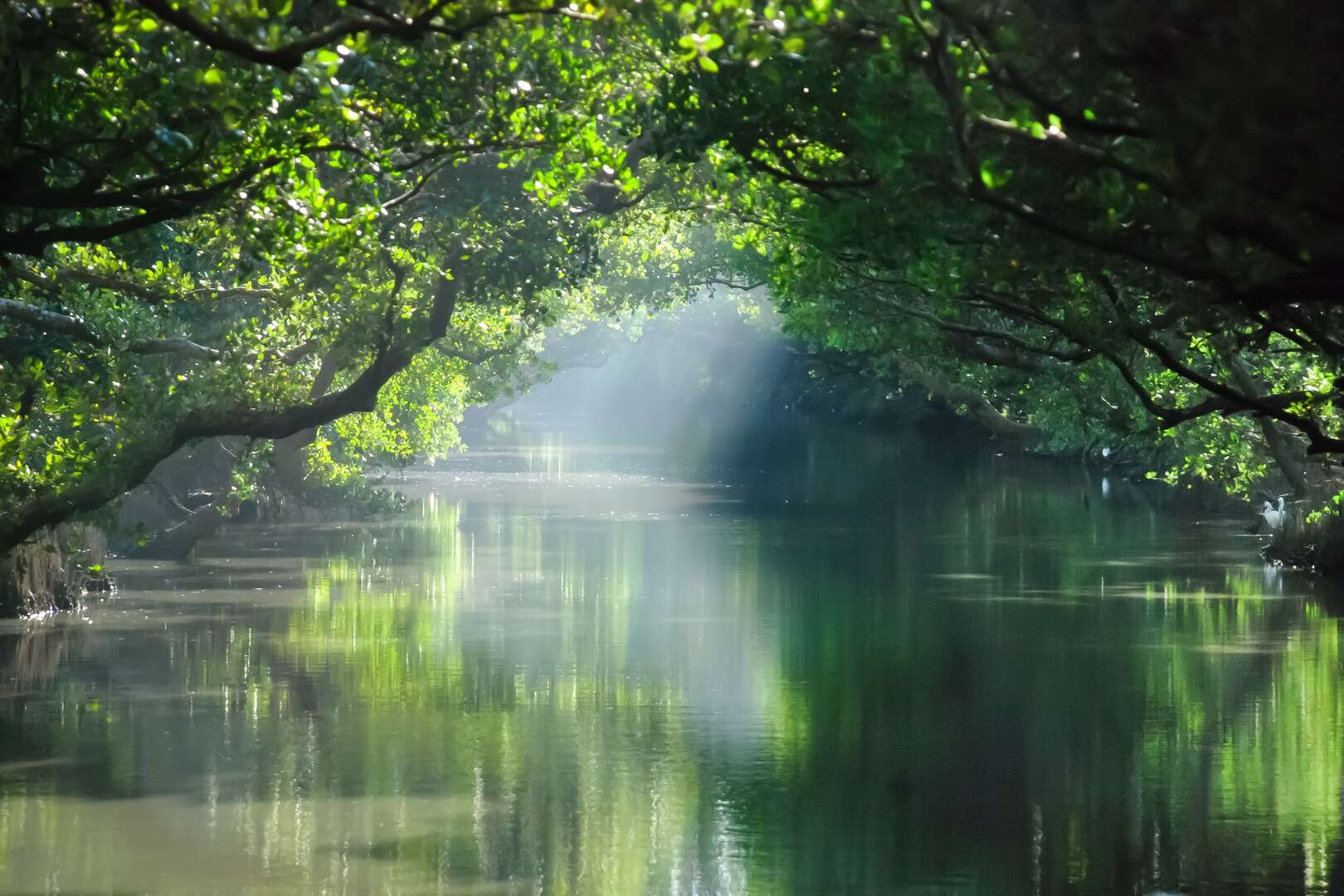四草綠色隧道