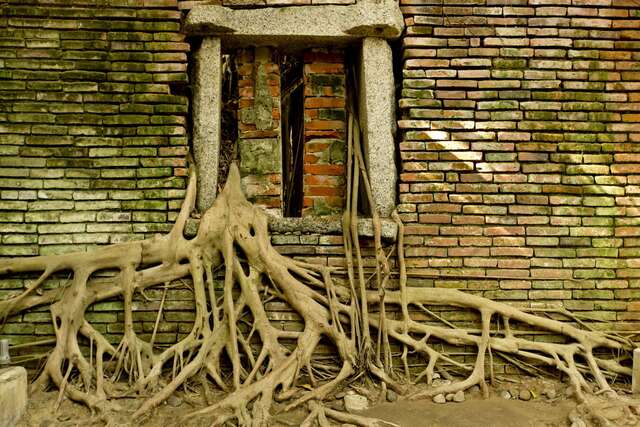 Anping Tree House(安平樹屋)