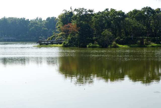 湖邊美景