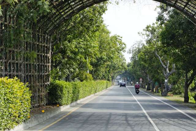 Taikang Green Tunnel(太康綠色隧道)