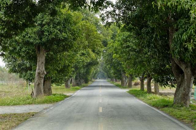 Zhumen Green Tunnel(竹門綠色隧道)