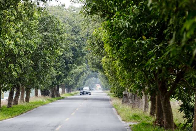 Zhumen Green Tunnel(竹門綠色隧道)