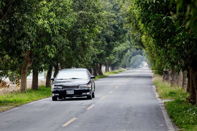 Zhumen Green Tunnel(竹門綠色隧道)