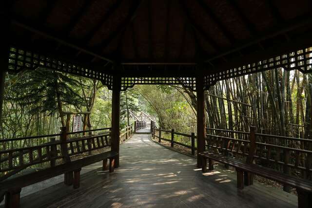 虎形山步道起伏不大，适合亲子休闲健行