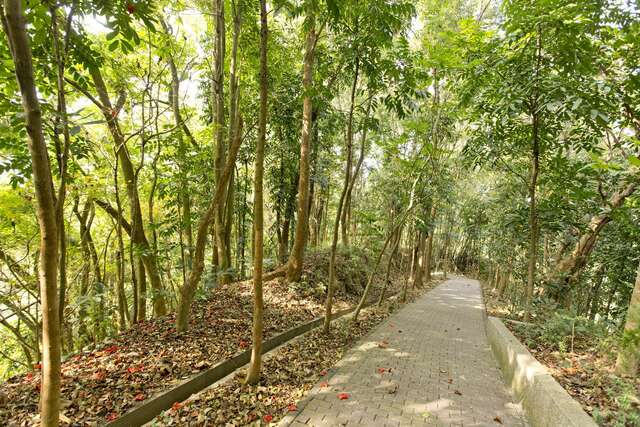 Huxingshan Park(虎形山公園)