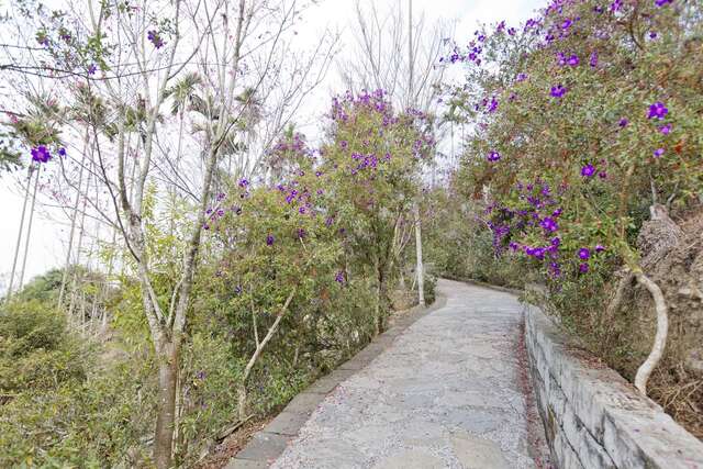 Meiling Hiking Trail(梅嶺登山步道)