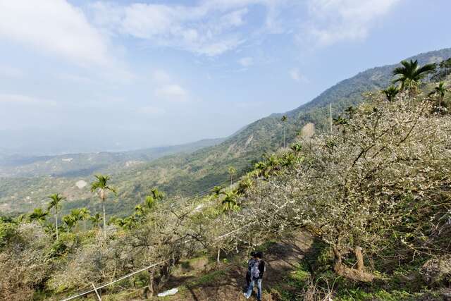 메이링 등산보도(梅嶺登山步道)