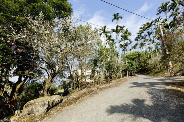 梅嶺登山遊歩道