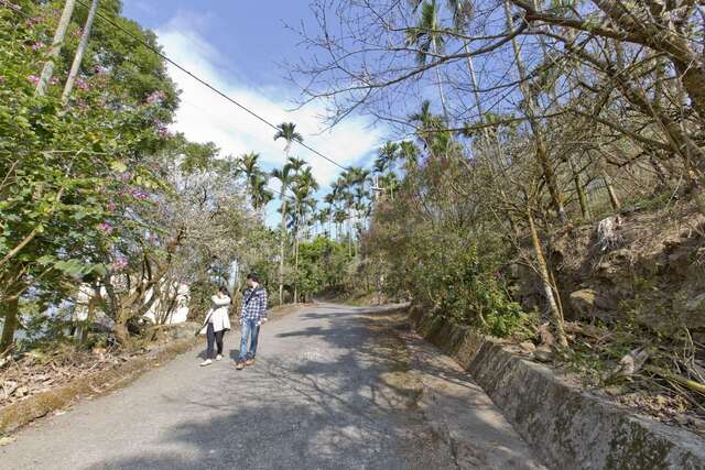 梅嶺登山遊歩道