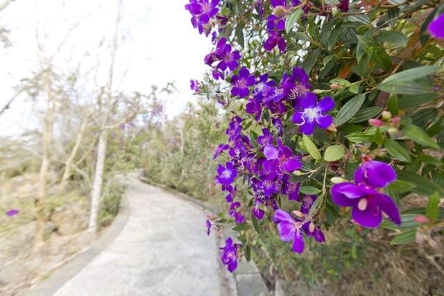 Meiling Hiking Trail(梅嶺登山步道)