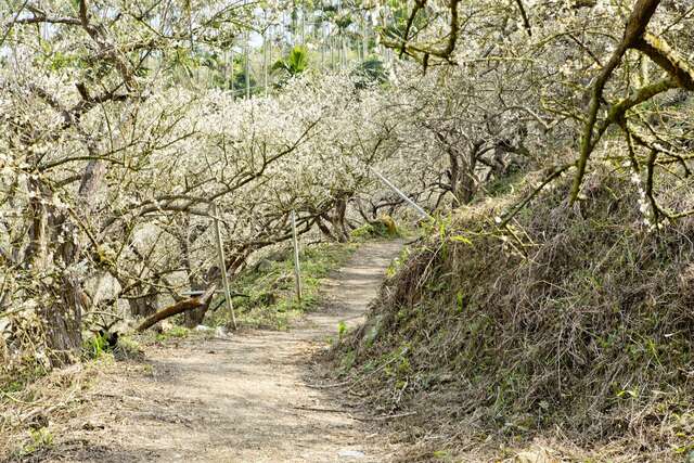 登山步道