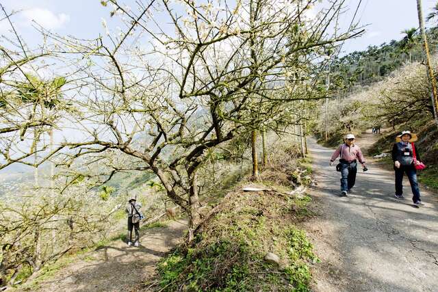 메이링 등산보도(梅嶺登山步道)