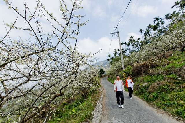 메이링 등산보도(梅嶺登山步道)