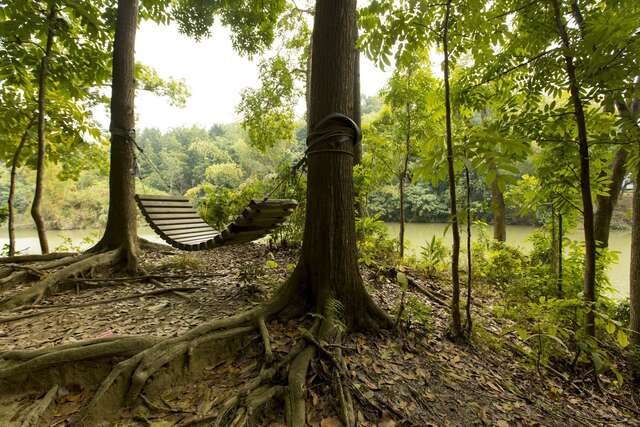 NCHU Xinhua Forest Station(國立中興大學新化林場)