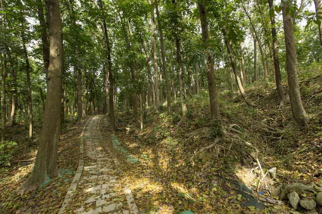 NCHU Xinhua Forest Station(國立中興大學新化林場)