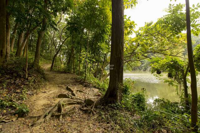 NCHU Xinhua Forest Station(國立中興大學新化林場)