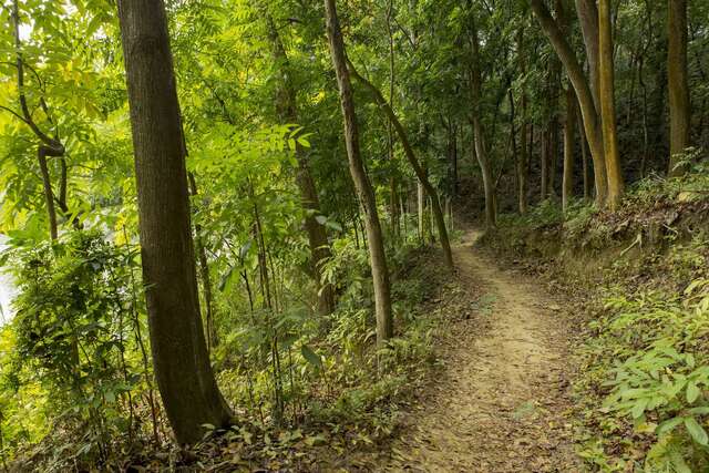 NCHU Xinhua Forest Station(國立中興大學新化林場)