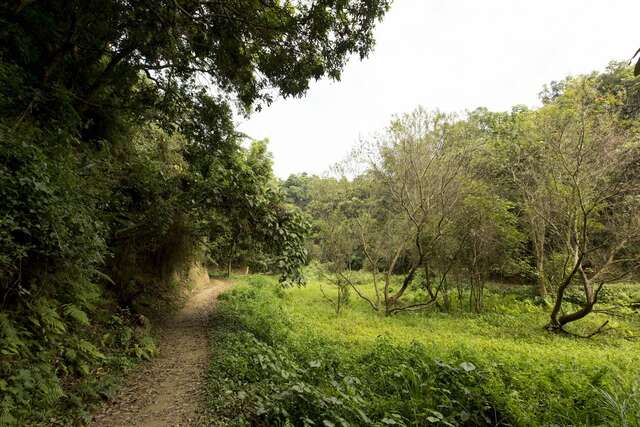 NCHU Xinhua Forest Station(國立中興大學新化林場)