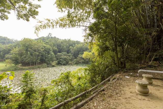 NCHU Xinhua Forest Station(國立中興大學新化林場)