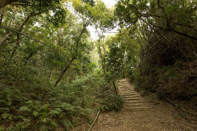 NCHU Xinhua Forest Station(國立中興大學新化林場)