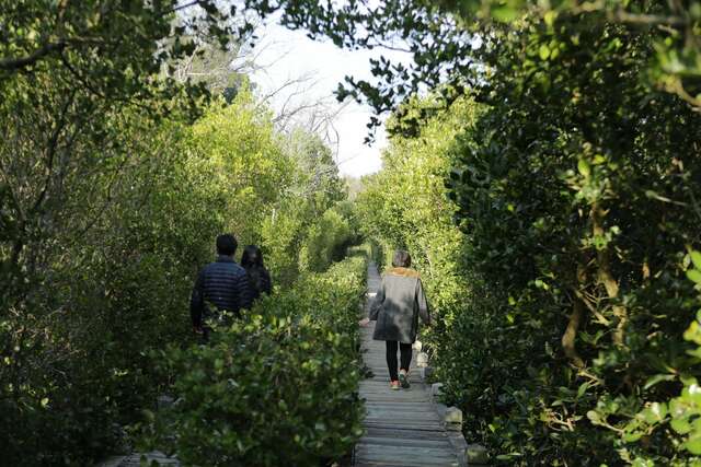 Vaneheim Love Manor(雙春濱海遊憩區(愛莊園))