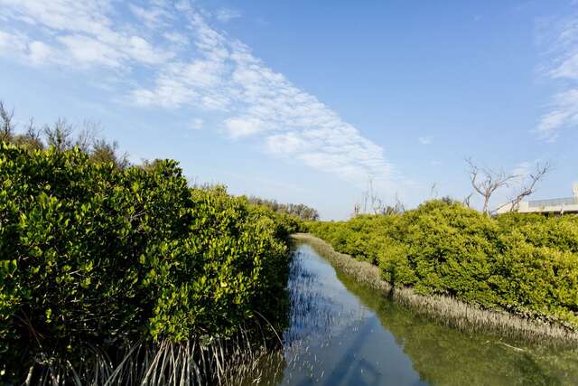 雙春濱海遊憩區風光