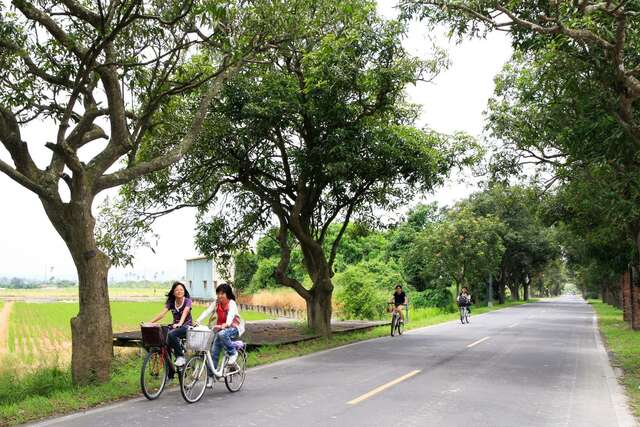 Zhumen Green Tunnel(竹門綠色隧道)