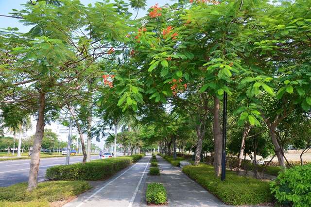 Tainan Science Park(台南科學園區)